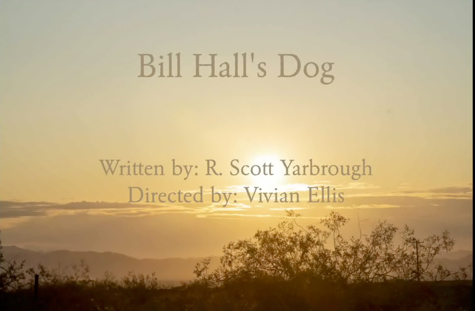 Little Gems 2.5 image 17