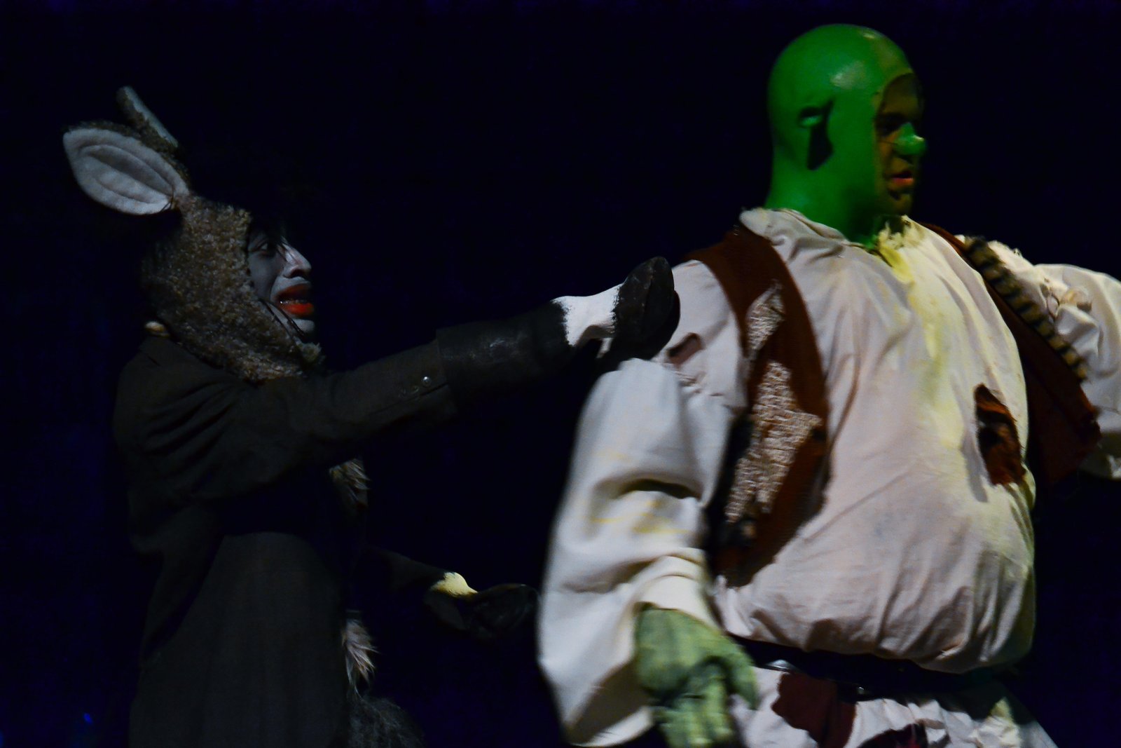 Shrek the Musical Jr. image 6