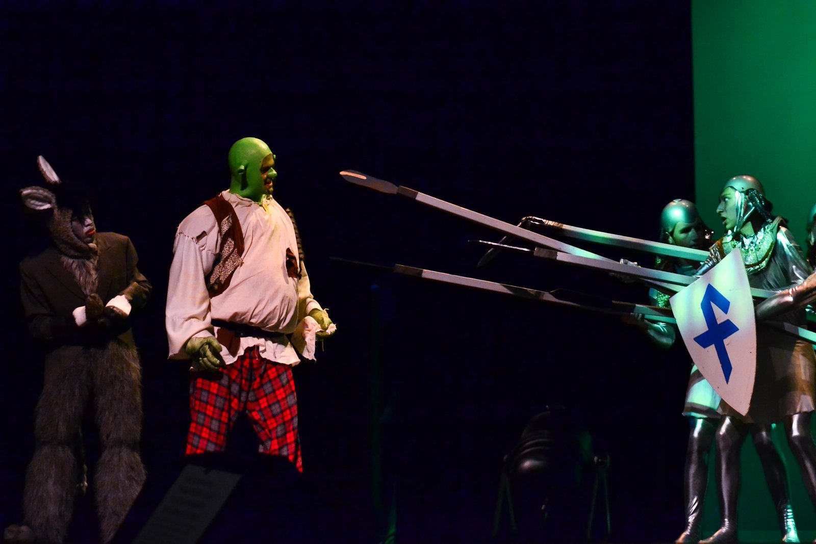 Shrek the Musical Jr. image 7