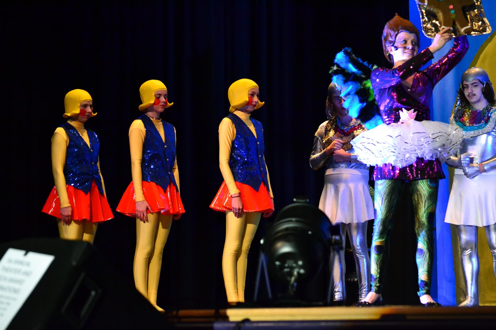 Shrek the Musical Jr. image 9