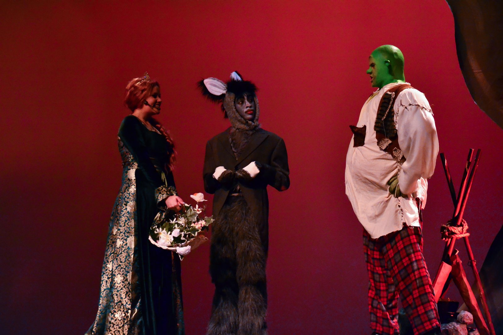 Shrek the Musical Jr. image 17
