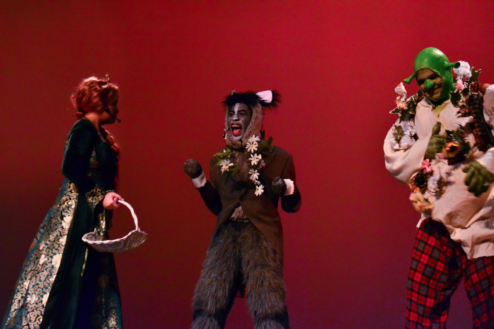 Shrek the Musical Jr. image 18